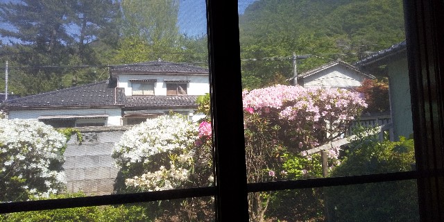 f:id:muinge:20210513212746j:image