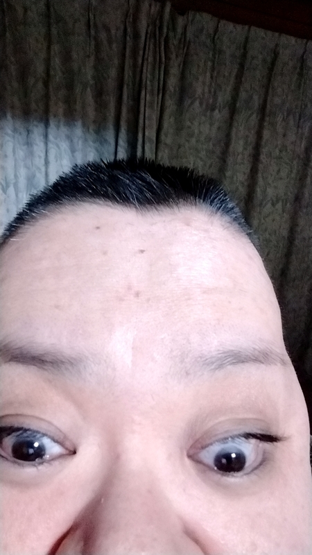 f:id:muinge:20220207214221j:plain