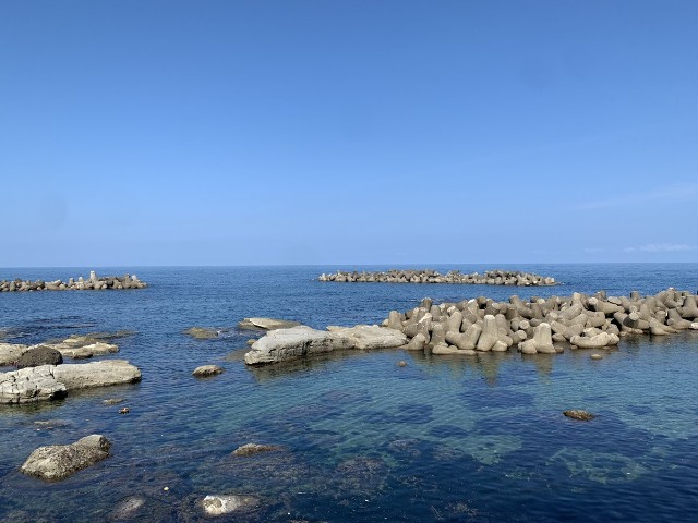 f:id:muinge:20230728105446j:image