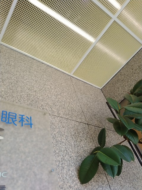 f:id:muinge:20230825105747j:image