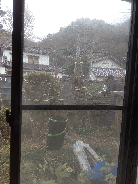 f:id:muinge:20231127212617j:image