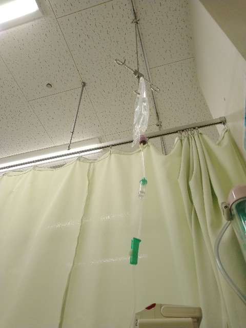 f:id:muinge:20231228204108j:image