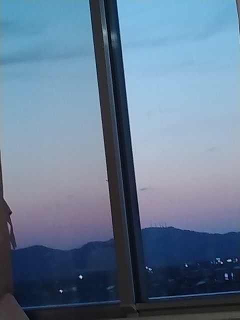 f:id:muinge:20240509193952j:image
