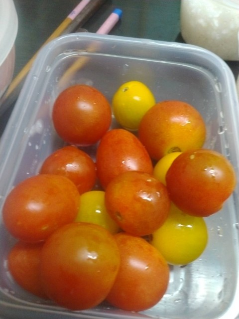 f:id:muinge:20240802230817j:image