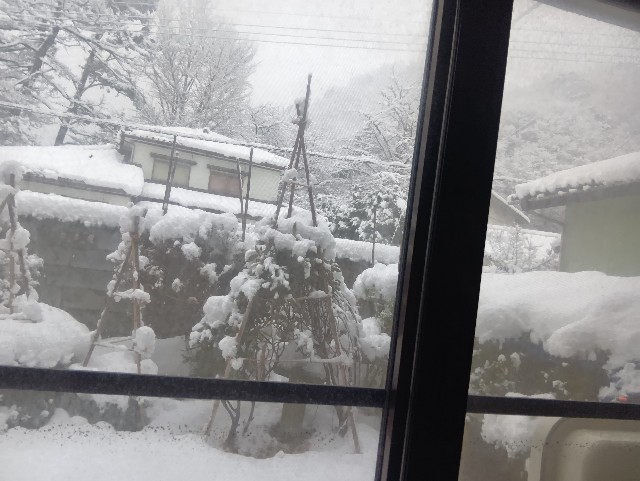 f:id:muinge:20250109230151j:image