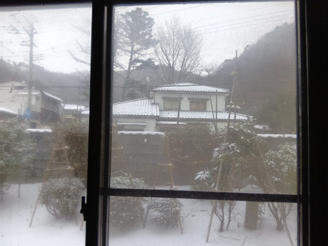 f:id:muinge:20250207093231j:image