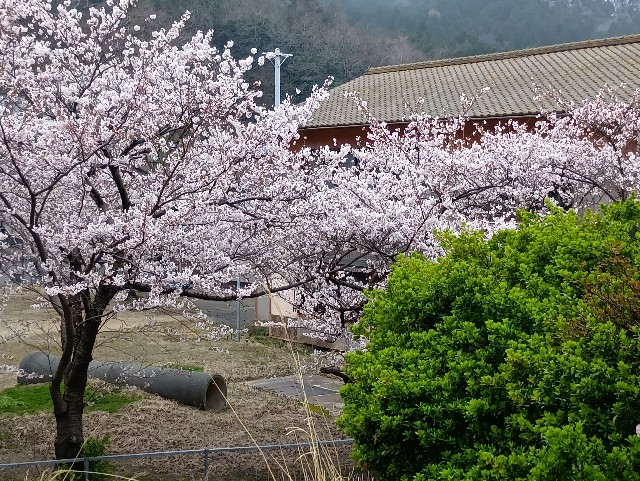 f:id:muinge:20250413225114j:image