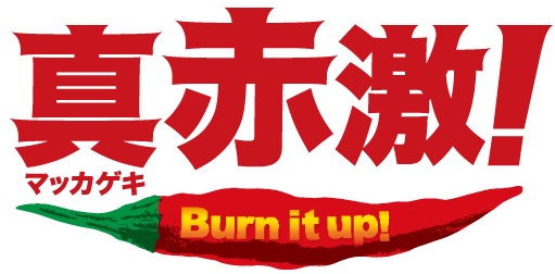 イメージ 14