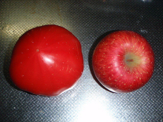 f:id:muji-na:20100205131620j:image