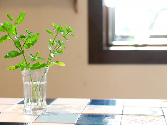 f:id:muji-yuko:20190207161805j:plain