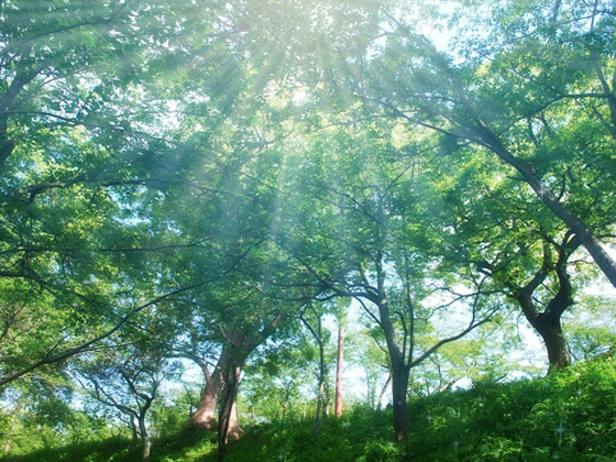 f:id:muji-yuko:20190207191834j:plain f:id:muji-yuko:20190207191834j:plain