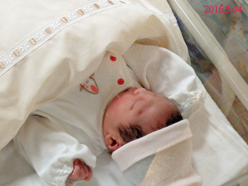 女児誕生 O ムジナのたまご 女児誕生 O ムジナのたまご