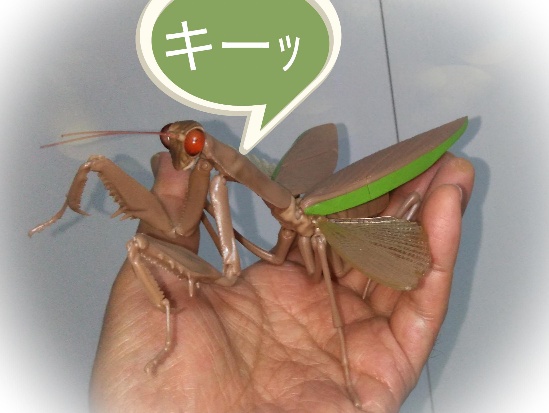 とんだ かまきり ムジナのたまご とんだ かまきり ムジナのたまご