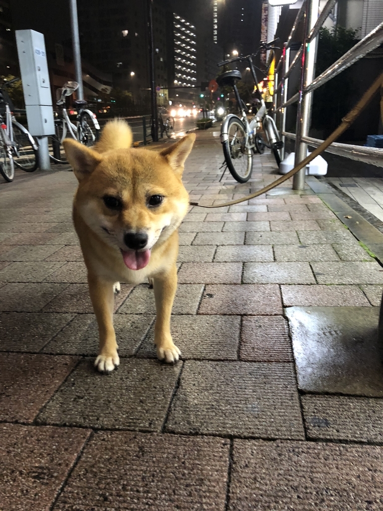 f:id:mukablog:20181009211439j:plain f:id:mukablog:20181009211439j:plain