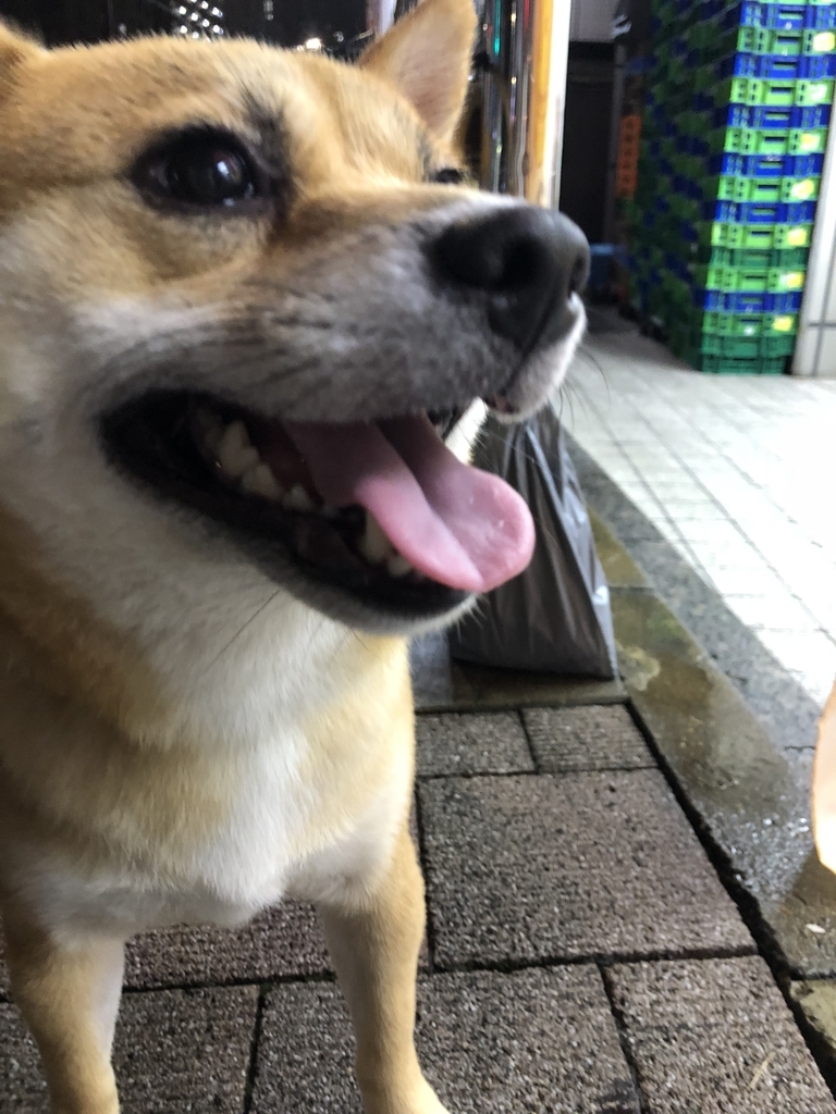 f:id:mukablog:20181009211510j:plain f:id:mukablog:20181009211510j:plain