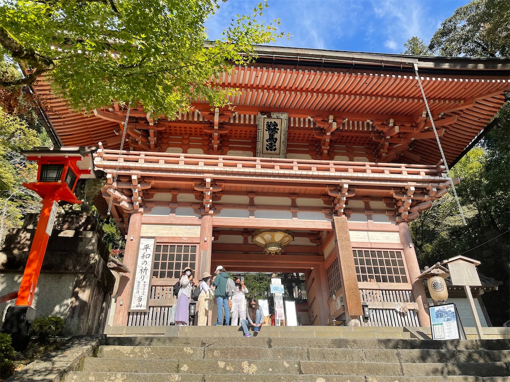 f:id:mukai1993:20221106160142j:image f:id:mukai1993:20221106160142j:image