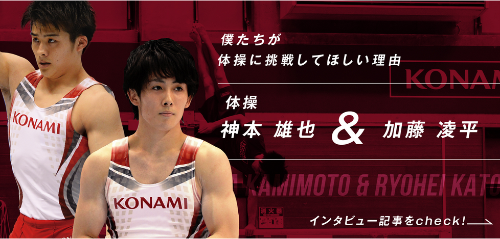 f:id:mukairi:20190203153424p:plain f:id:mukairi:20190203153424p:plain
