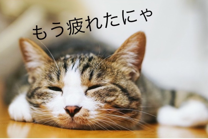 f:id:mukimukiman666:20180305034410j:plain