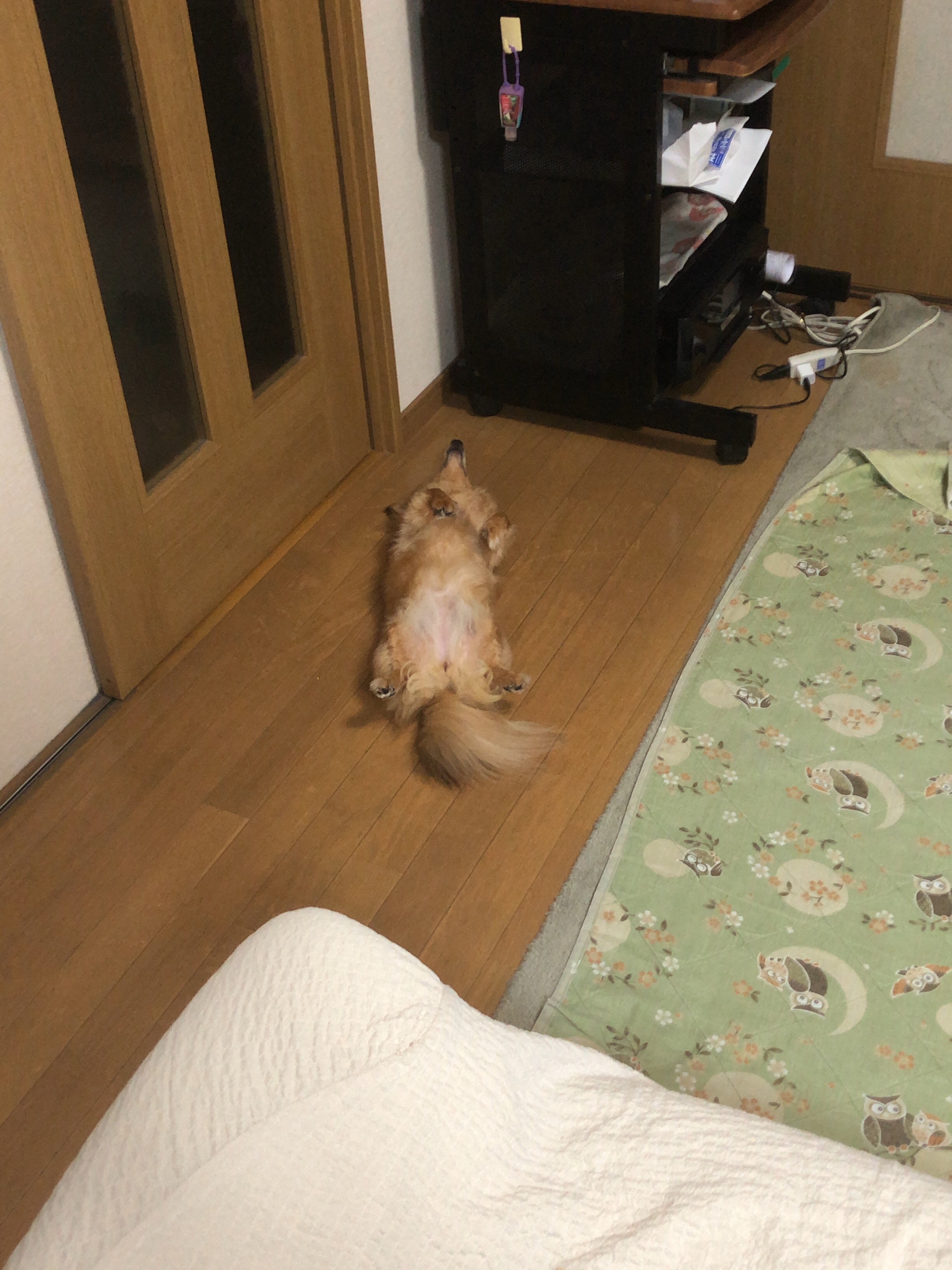 f:id:mukimukinakibun:20220130163827j:image f:id:mukimukinakibun:20220130163827j:image