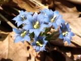 f:id:mukku3868:20120428121520j:image