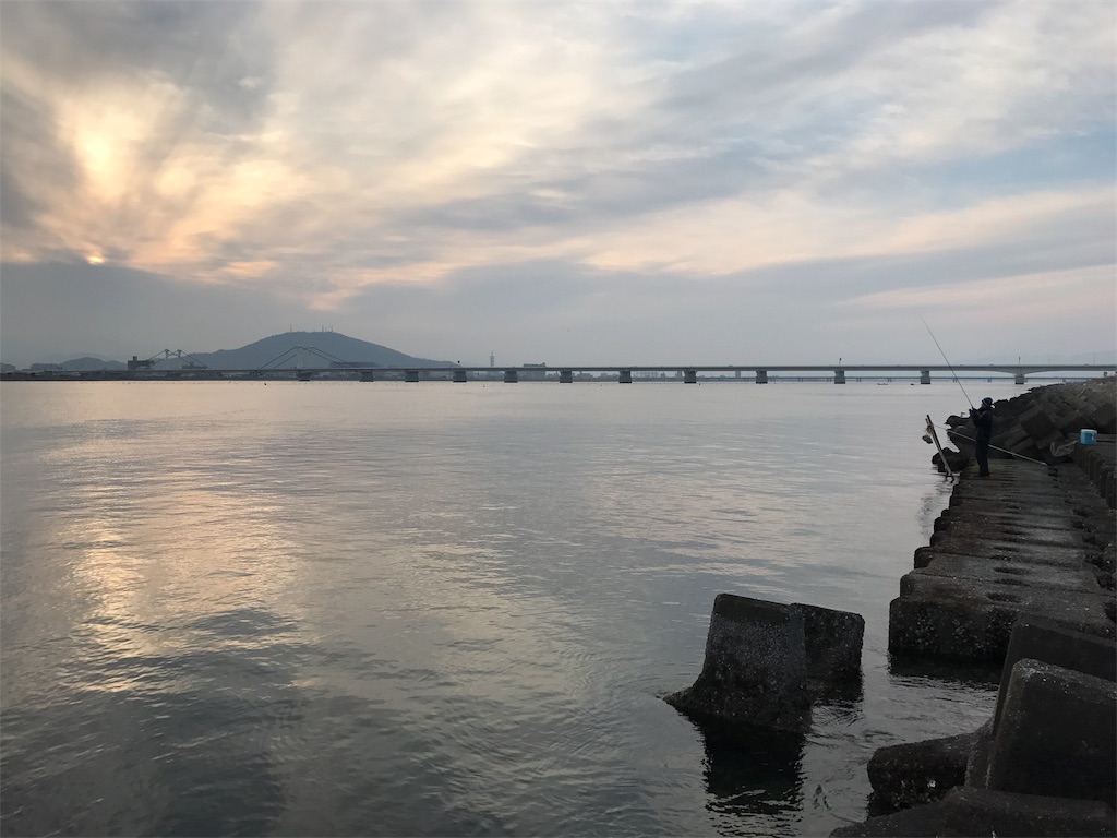 大河川シーバス戦略 淀川 神崎川 武庫川 吉野川 武庫川一文字太郎の釣行記 シーバス ショアジギ チニング