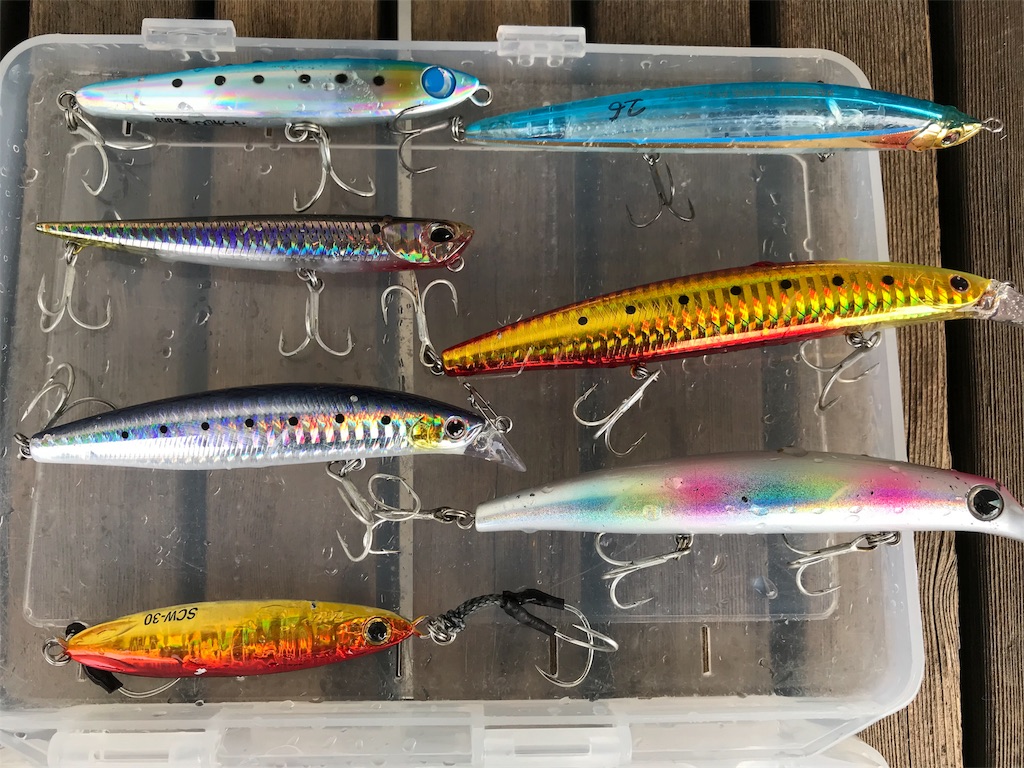 5 6 釣行記 徳島市内サーフでついにシーバス 19連敗でストップ 武庫川一文字太郎の釣行記 シーバス ショアジギ チニング 5 6 釣行記 徳島市内サーフでついにシーバス 19連敗でストップ 武庫川一文字太郎の釣行記 シーバス ショアジギ チニング