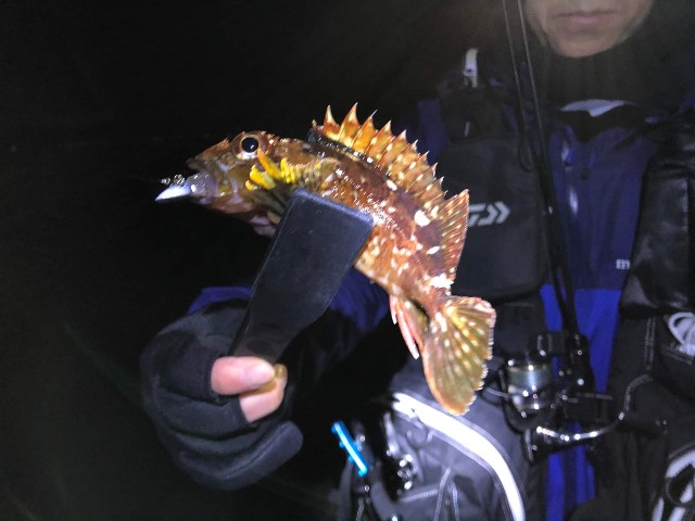 f:id:mukogawaichimonjitaro:20220102223350j:image f:id:mukogawaichimonjitaro:20220102223350j:image