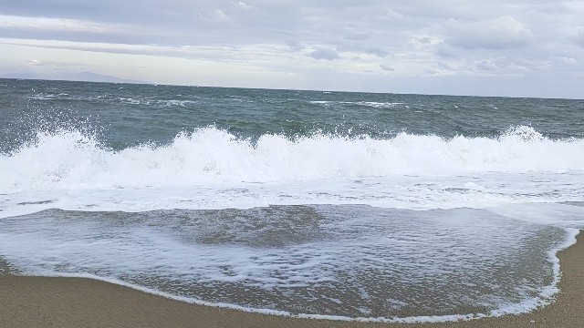 f:id:mukogawaichimonjitaro:20220102223449j:image f:id:mukogawaichimonjitaro:20220102223449j:image