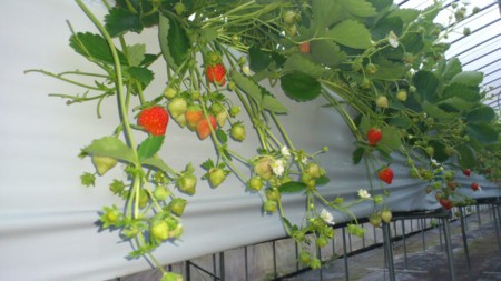 f:id:mukoubetu:20120830050155j:image