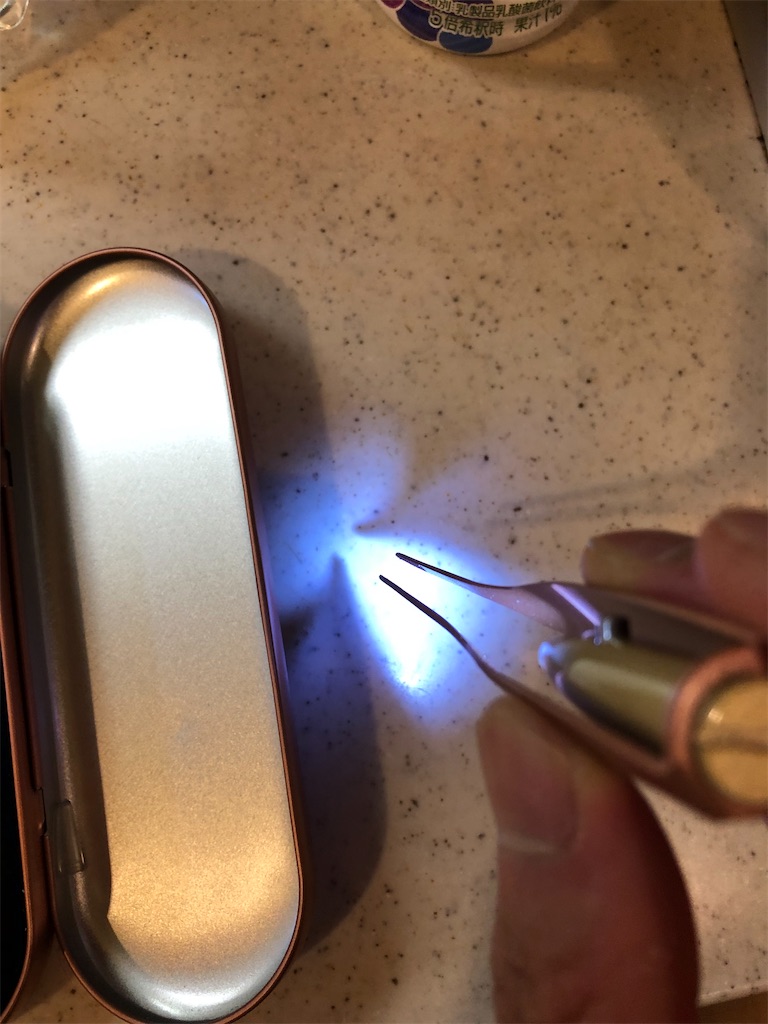 f:id:mukubeni:20210624161500j:image