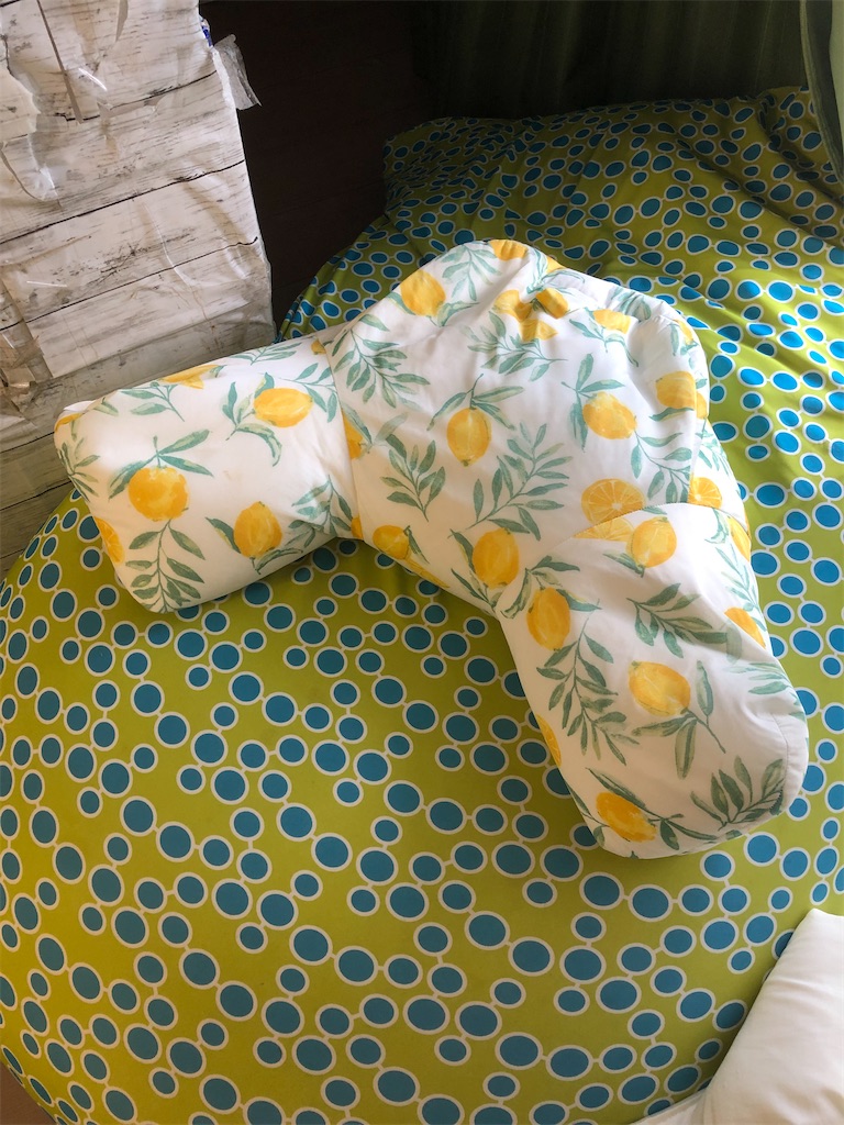 f:id:mukubeni:20210801090330j:image f:id:mukubeni:20210801090330j:image