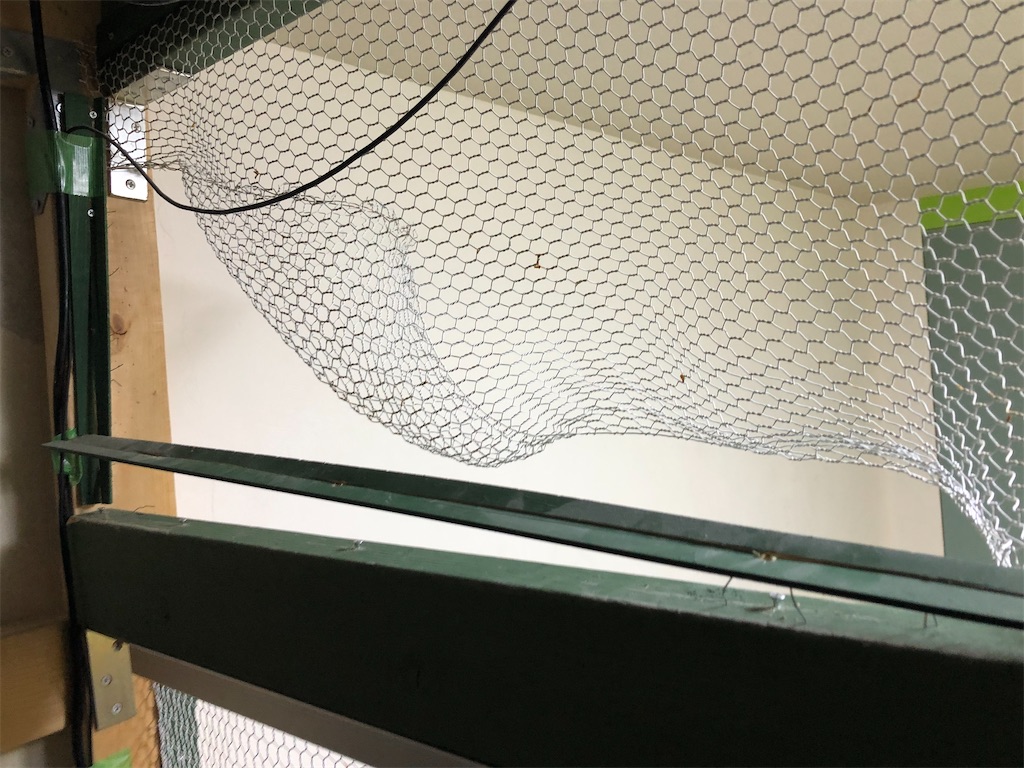 f:id:mukubeni:20210820205826j:image