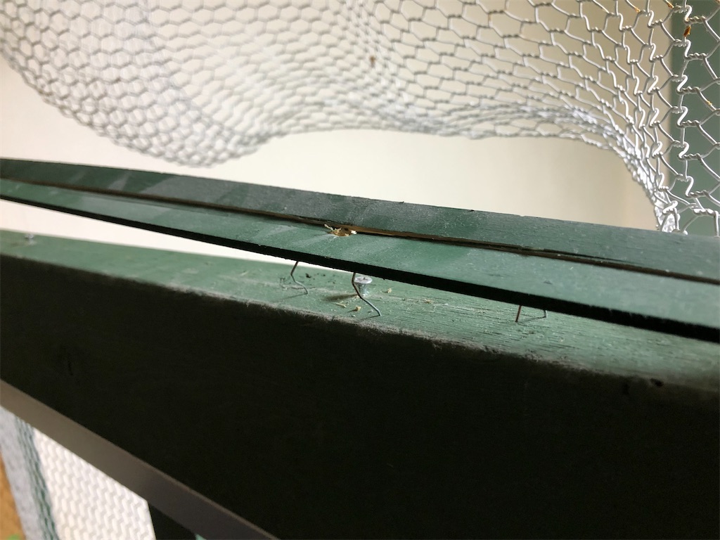 f:id:mukubeni:20210820205839j:image