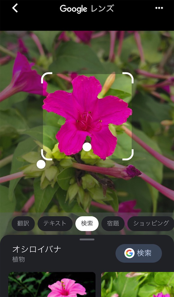 f:id:mukubeni:20220924063143j:image f:id:mukubeni:20220924063143j:image