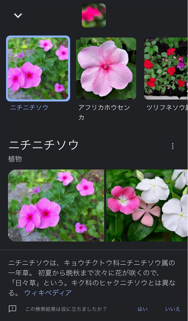 f:id:mukubeni:20220924063155j:image f:id:mukubeni:20220924063155j:image