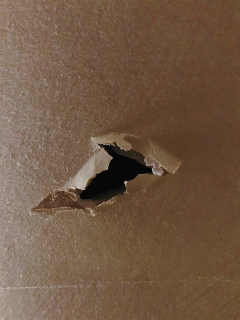 f:id:mukubeni:20230103151330j:image f:id:mukubeni:20230103151330j:image