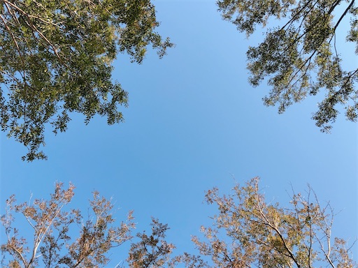 f:id:mukubeni:20230113093923j:image f:id:mukubeni:20230113093923j:image