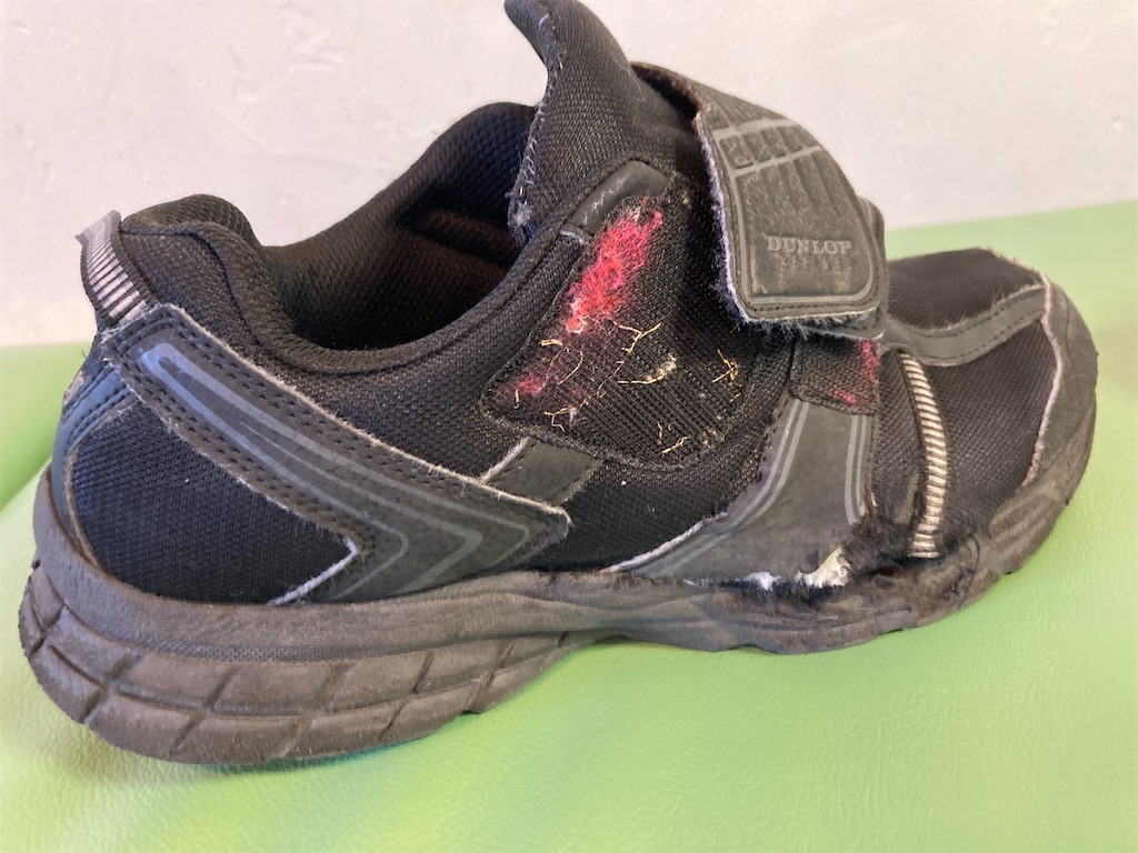 f:id:mukubeni:20240319175658j:image f:id:mukubeni:20240319175658j:image