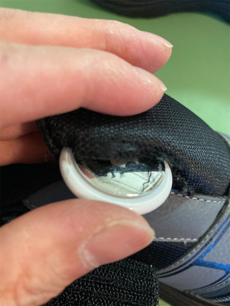 f:id:mukubeni:20240319175702j:image f:id:mukubeni:20240319175702j:image