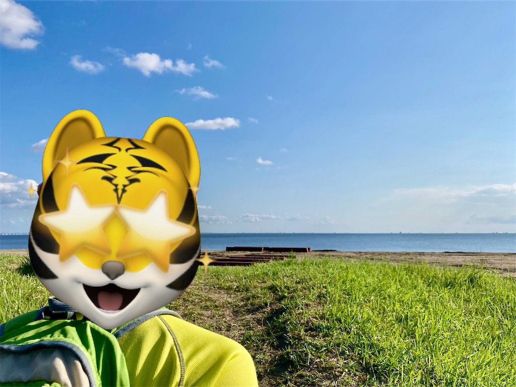 f:id:mukubeni:20240810074053j:image