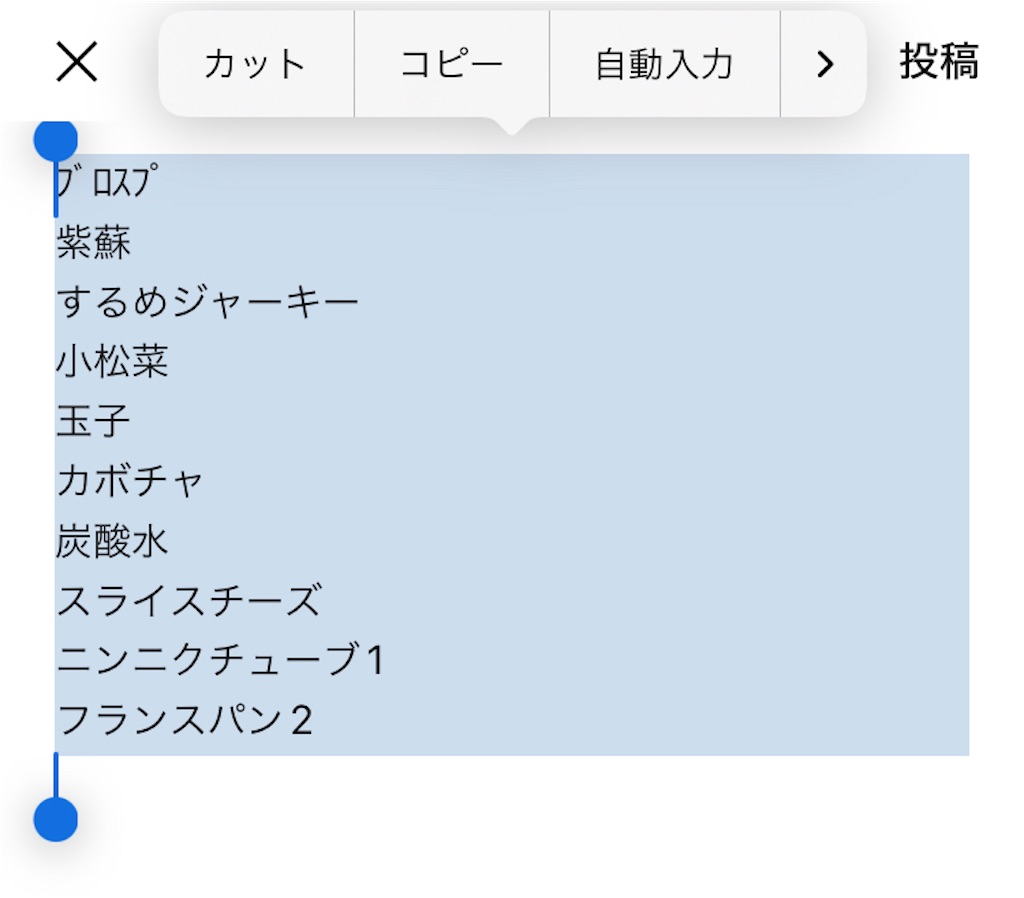 f:id:mukubeni:20240919222507j:image
