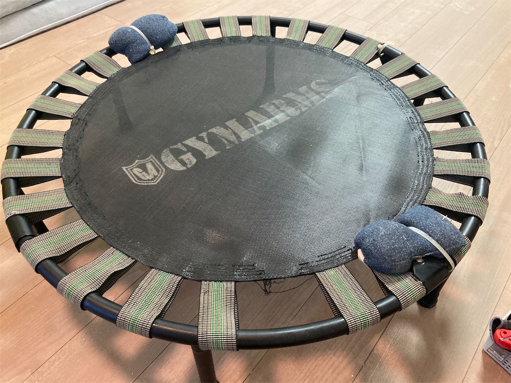 f:id:mukubeni:20241013215343j:image f:id:mukubeni:20241013215343j:image