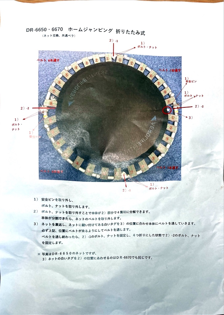 f:id:mukubeni:20241014094734j:image f:id:mukubeni:20241014094734j:image