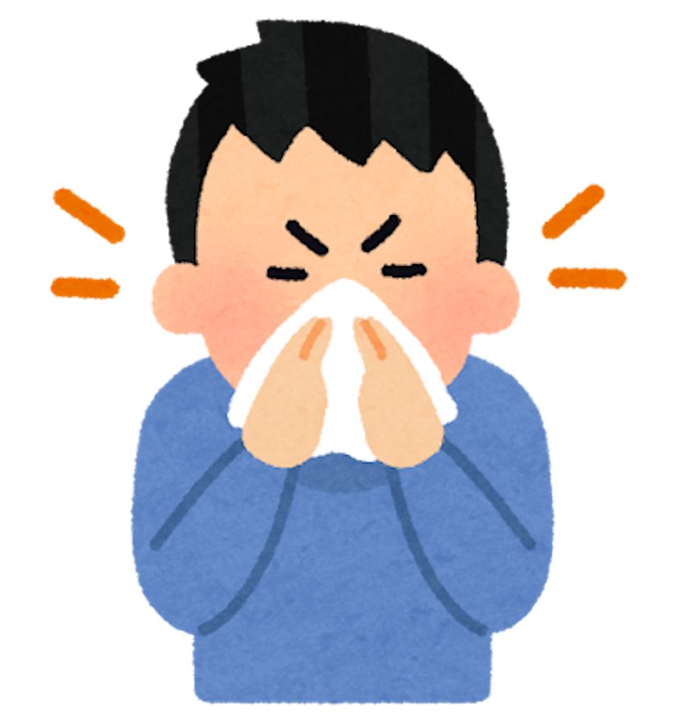 f:id:mukubeni:20250219233113p:image