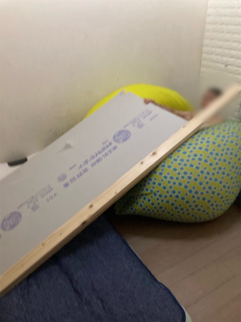 f:id:mukubeni:20250807005651j:image