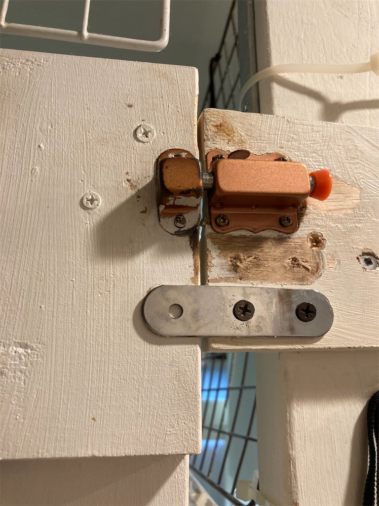 f:id:mukubeni:20250823233623j:image