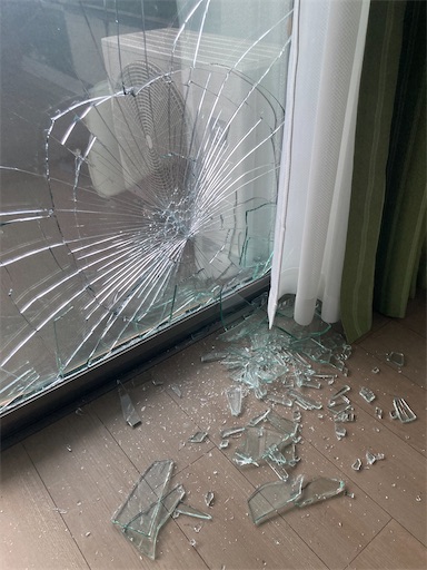 f:id:mukubeni:20250912230724j:image f:id:mukubeni:20250912230724j:image