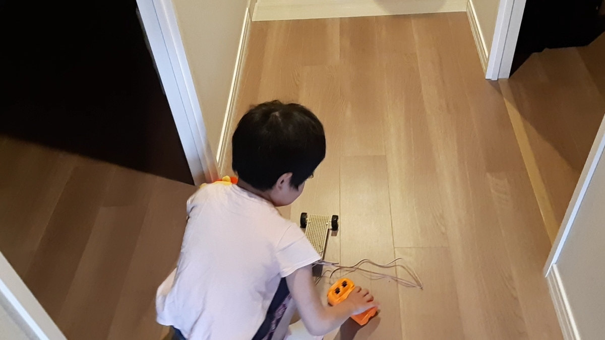 f:id:mukumukumu:20210524053107j:plain