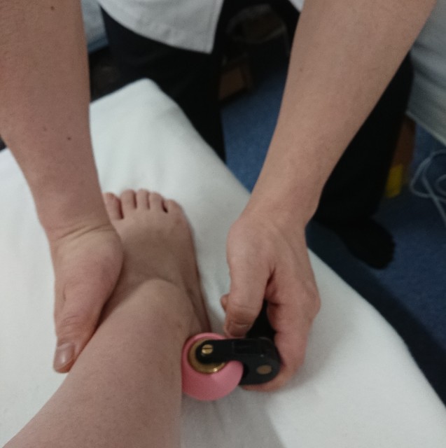 f:id:mukunina:20190529070601j:plain