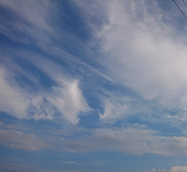 f:id:mukunina:20190716065845j:plain